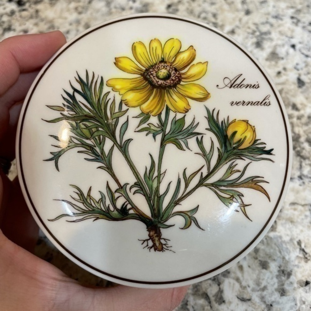 Villeroy & Boch dish
